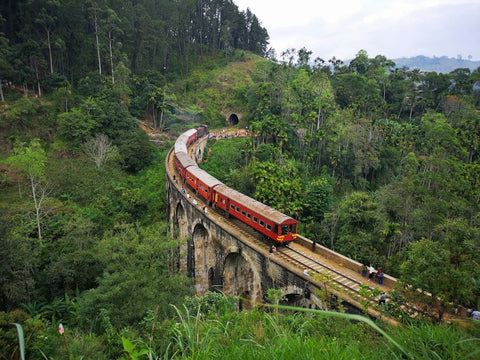 Sri Lanka destination photo