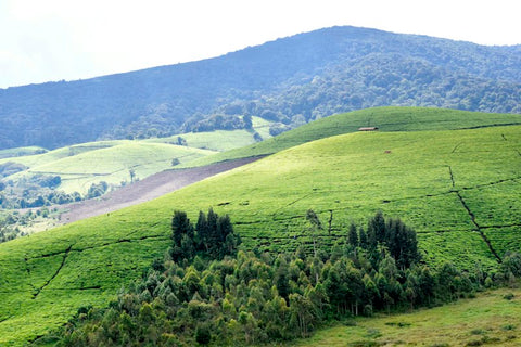 Burundi destination photo