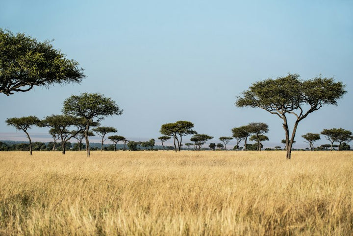 Zambia destination photo