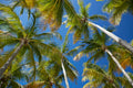 Guadeloupe destination photo