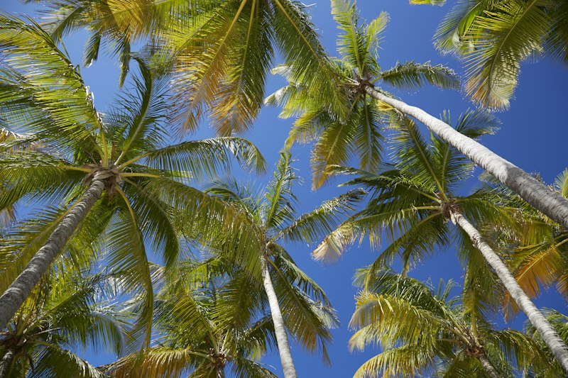 Guadeloupe destination photo