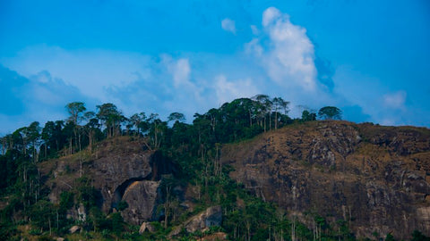 Cameroon destination photo