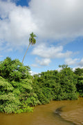 Suriname destination photo
