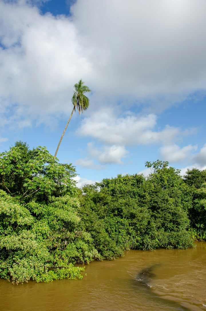 Suriname destination photo