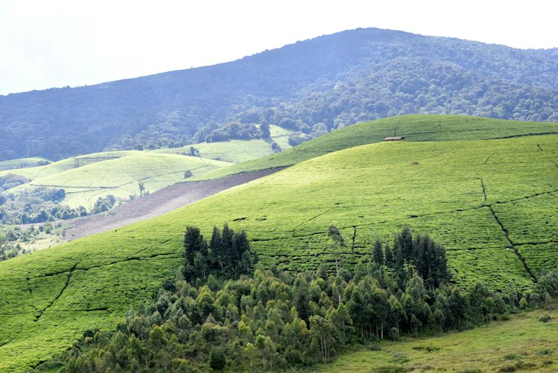 Burundi destination photo