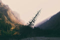 Kyrgyzstan destination photo