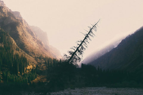 Kyrgyzstan destination photo