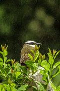 Paraguay destination photo