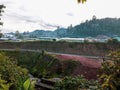Guinea destination photo