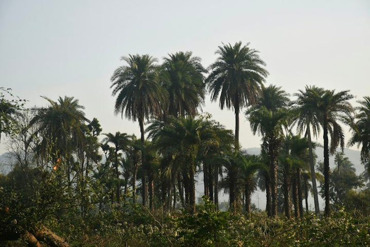 Togo destination photo