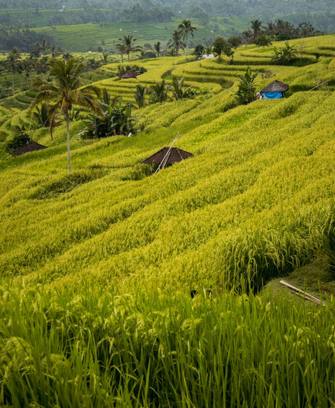 Indonesia destination photo