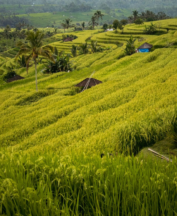 Indonesia destination photo