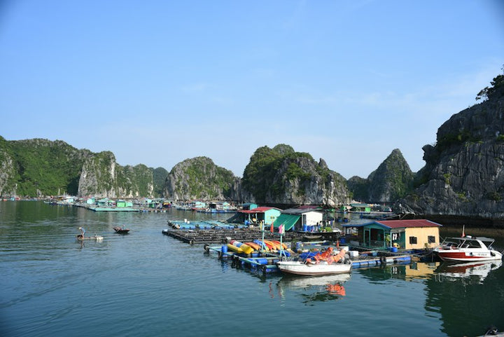 Vietnam destination photo